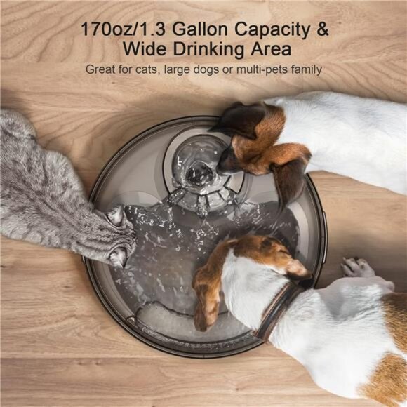 Dog Water Fountain, 170oz/1.3Gallon/5L Large Automatic Pet Water Dispenser - Picture 2 of 7